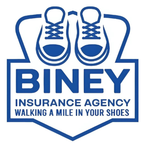 Biney Insurance Agency LLC