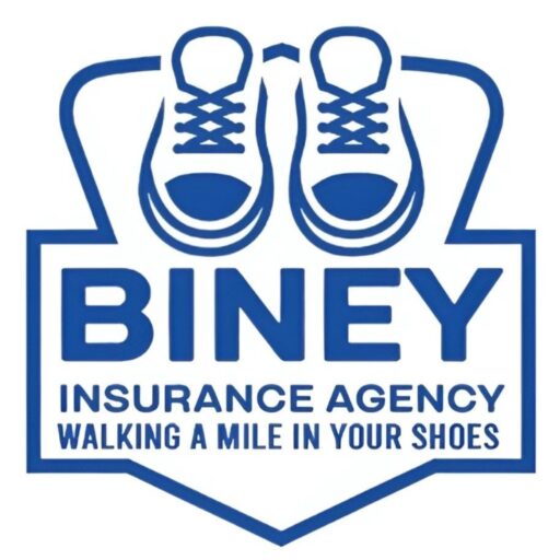 Biney Insurance Agency LLC